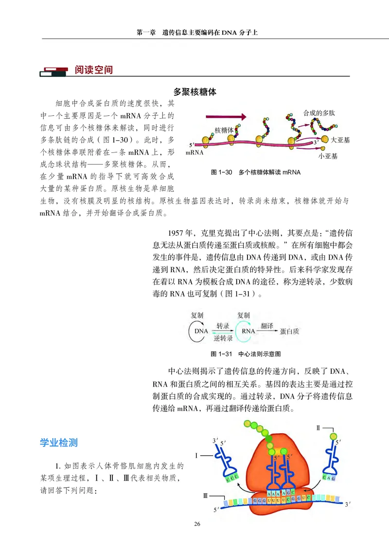 普通高中教科书&middot;生物学必修2遗传与进化(1)_高中全套电子教材及答案。_01高中电子教材全套_生物学_沪科教版_高中年级_必修2遗传与进化