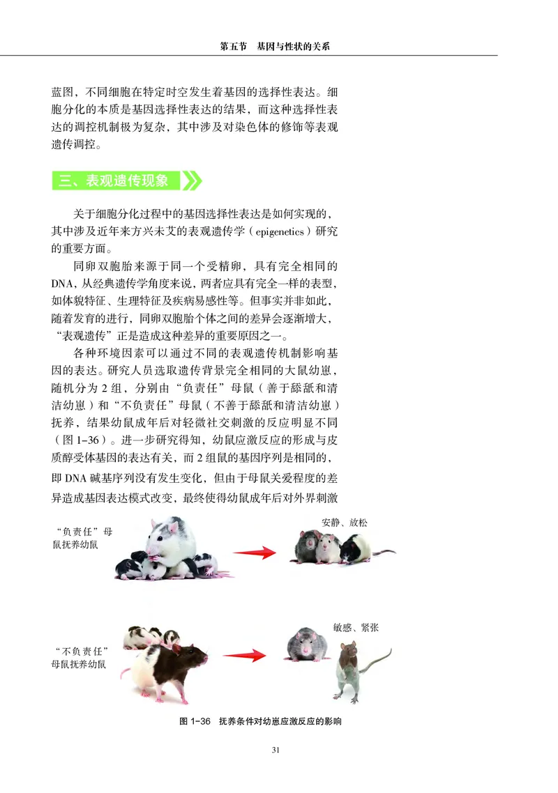 普通高中教科书&middot;生物学必修2遗传与进化(1)_高中全套电子教材及答案。_01高中电子教材全套_生物学_沪科教版_高中年级_必修2遗传与进化