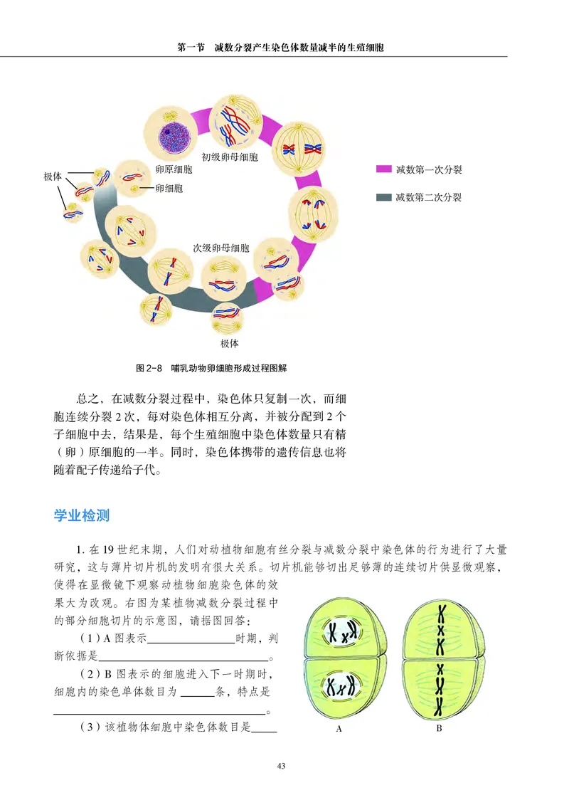 普通高中教科书&middot;生物学必修2遗传与进化(1)_高中全套电子教材及答案。_01高中电子教材全套_生物学_沪科教版_高中年级_必修2遗传与进化
