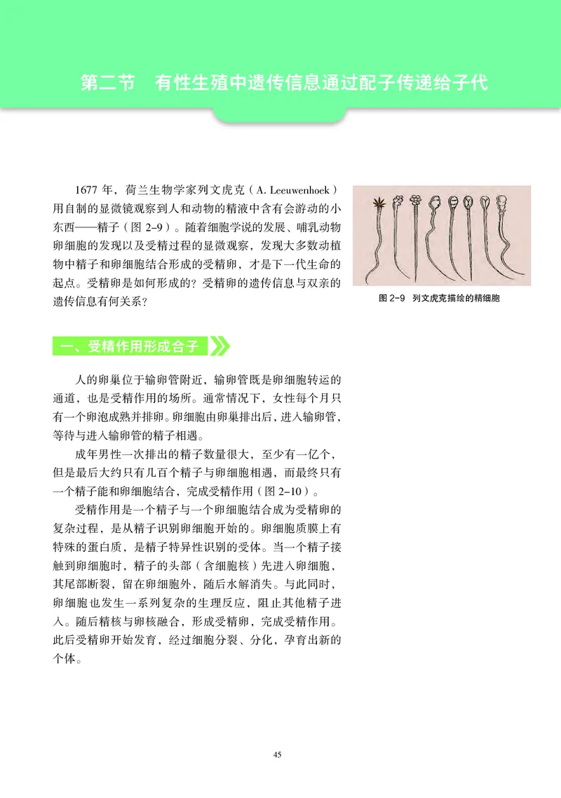 普通高中教科书&middot;生物学必修2遗传与进化(1)_高中全套电子教材及答案。_01高中电子教材全套_生物学_沪科教版_高中年级_必修2遗传与进化