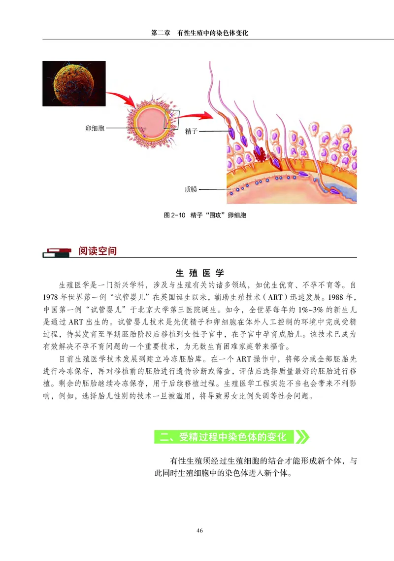 普通高中教科书&middot;生物学必修2遗传与进化(1)_高中全套电子教材及答案。_01高中电子教材全套_生物学_沪科教版_高中年级_必修2遗传与进化