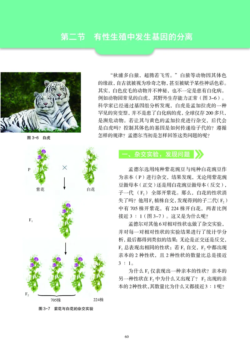 普通高中教科书&middot;生物学必修2遗传与进化(1)_高中全套电子教材及答案。_01高中电子教材全套_生物学_沪科教版_高中年级_必修2遗传与进化