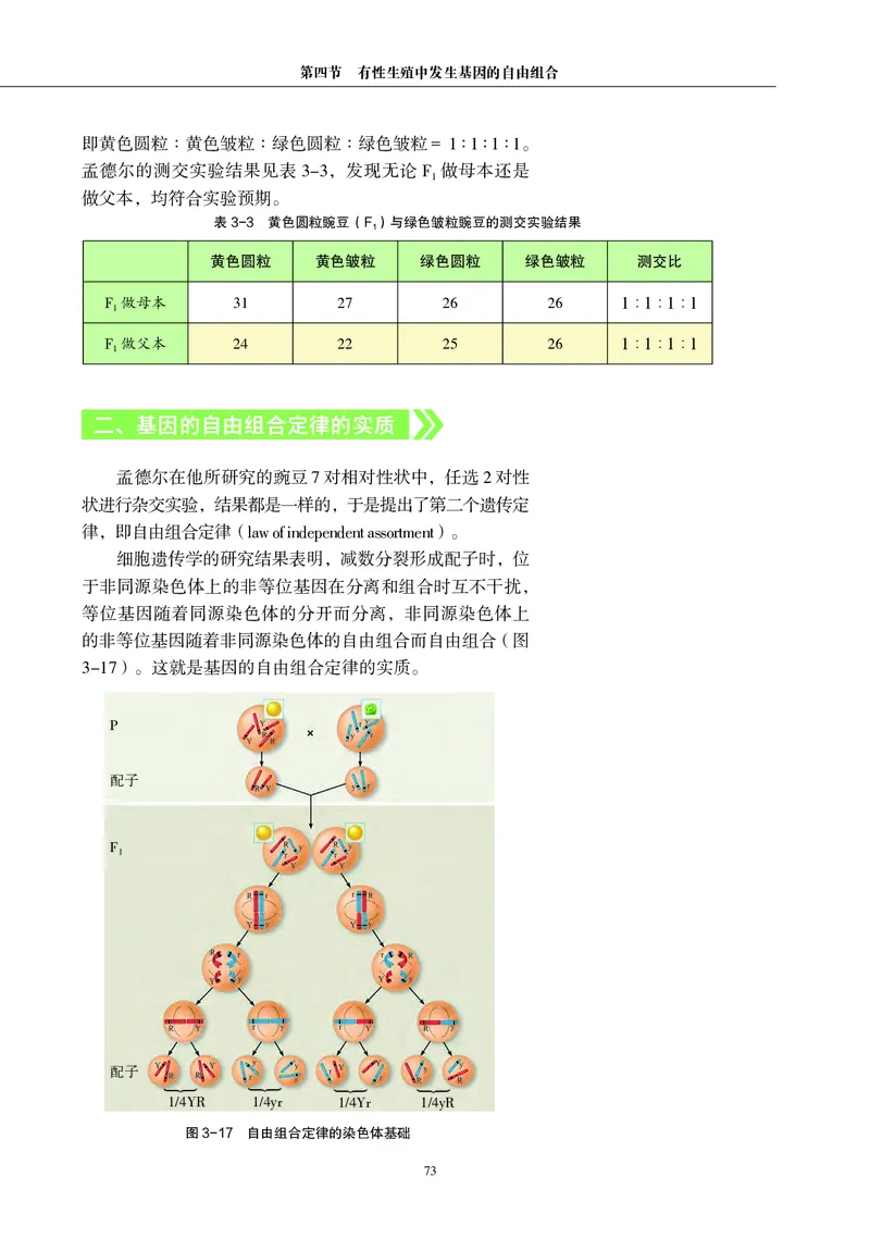 普通高中教科书&middot;生物学必修2遗传与进化(1)_高中全套电子教材及答案。_01高中电子教材全套_生物学_沪科教版_高中年级_必修2遗传与进化
