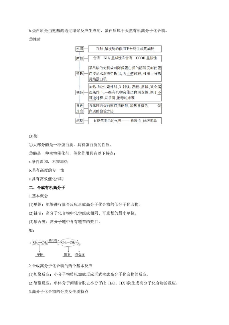 第34讲生物大分子与合成高分子（讲）-2024年高考化学大一轮复习精讲精练+专题讲座（解析版）_05高考化学_2024年新高考资料_1.2024一轮复习