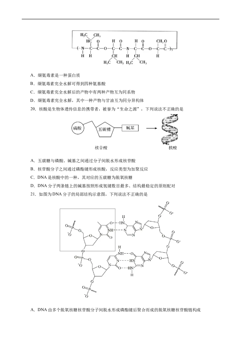 考点37营养物质(好题冲关)(原卷版)_05高考化学_通用版（老高考）复习资料_2024年复习资料_完备战2024年高考化学一轮复习考点帮（全国通用）_考点37营养物质（核心考点精讲精练）