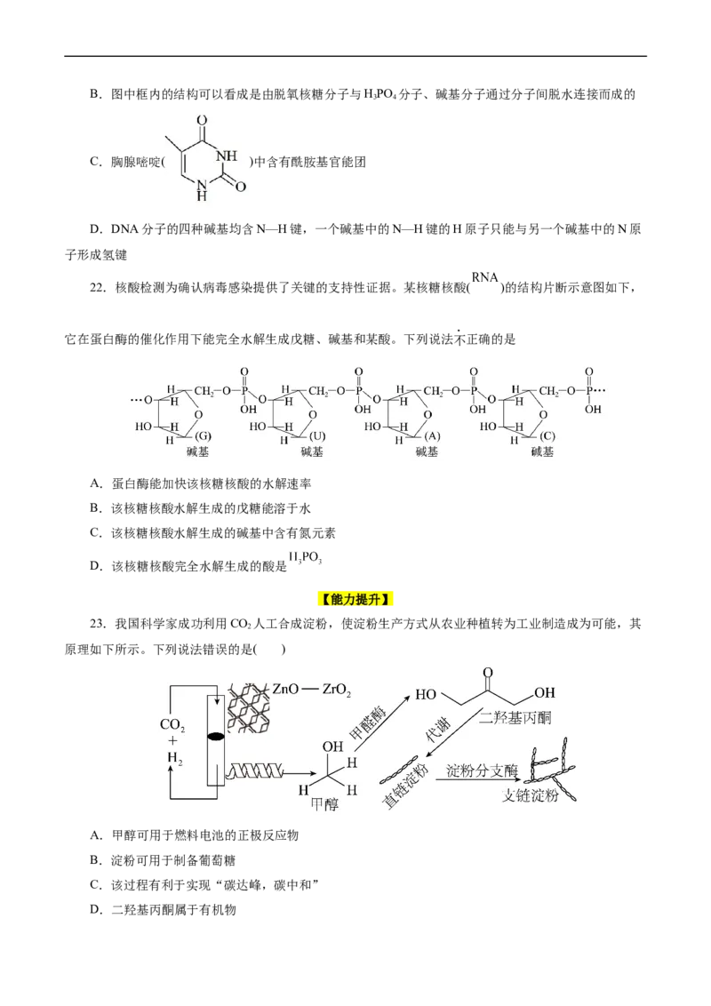 考点37营养物质(好题冲关)(原卷版)_05高考化学_通用版（老高考）复习资料_2024年复习资料_完备战2024年高考化学一轮复习考点帮（全国通用）_考点37营养物质（核心考点精讲精练）