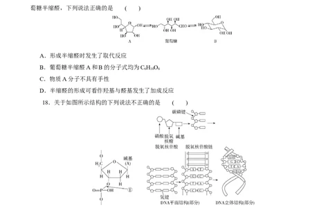 考点37营养物质(好题冲关)(原卷版)_05高考化学_通用版（老高考）复习资料_2024年复习资料_完备战2024年高考化学一轮复习考点帮（全国通用）_考点37营养物质（核心考点精讲精练）