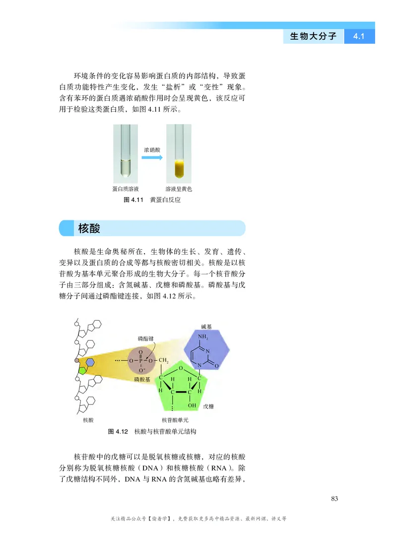普通高中教科书&middot;化学选择性必修3有机化学基础(1)_高中全套电子教材及答案。_01高中电子教材全套_化学_沪科技版_高中年级_选择性必修3有机化学基础