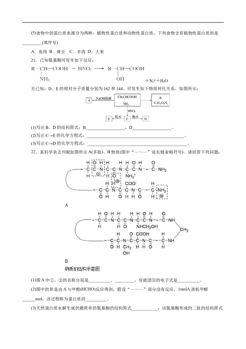 考点41蛋白质（原卷版）_05高考化学_通用版（老高考）复习资料_2023年复习资料_一轮复习_备战2023年高考化学一轮复习考点帮（全国通用）