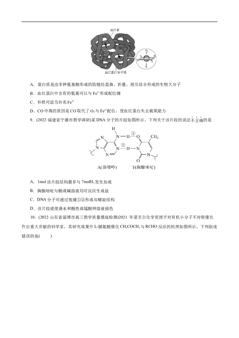 考点41蛋白质（原卷版）_05高考化学_通用版（老高考）复习资料_2023年复习资料_一轮复习_备战2023年高考化学一轮复习考点帮（全国通用）