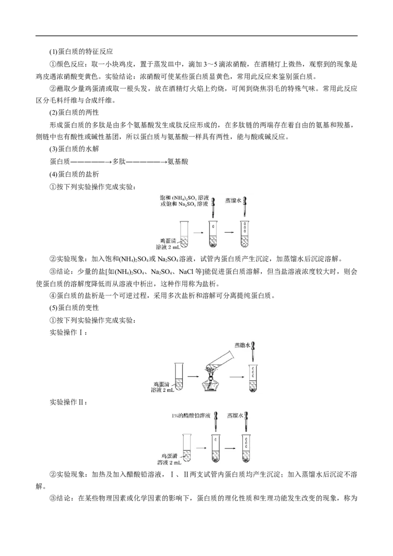 考点41蛋白质（原卷版）_05高考化学_通用版（老高考）复习资料_2023年复习资料_一轮复习_备战2023年高考化学一轮复习考点帮（全国通用）