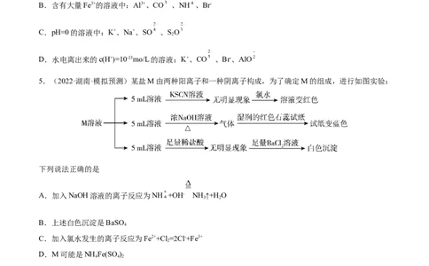 第05讲离子共存　离子的检验和推断（练）-2023年高考化学一轮复习讲练测（全国通用）（原卷版）_05高考化学_通用版（老高考）复习资料_2023年复习资料_一轮复习