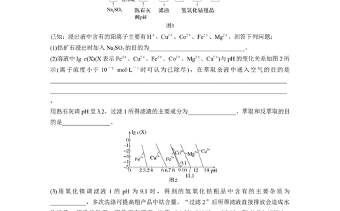 第十二章　第59练　无机化工流程题的解题策略_05高考化学_2025年新高考资料_一轮复习_2025大一轮复习讲义+课件（完结）_2025大一轮复习讲义化学学生用书Word版文档全书