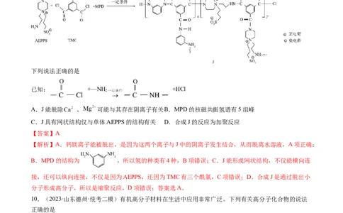 第40讲生物大分子合成高分子（练习）（解析版）_05高考化学_新高考复习资料_2024年新高考资料_一轮复习资料_完2024年高考化学一轮复习讲练测(课件+讲义+练习)（新高考）_讲义+练习