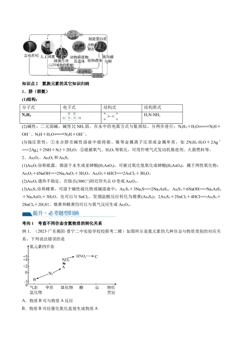 第14讲氮及其化合物（讲义）（解析版）_05高考化学_2024年新高考资料_1.2024一轮复习_2024年高考化学一轮复习讲练测（新教材新高考）