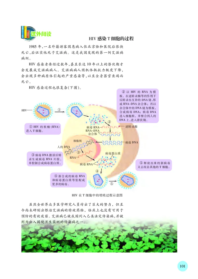 普通高中教科书&middot;生物学选择性必修1稳态与调节_高中全套电子教材及答案。_01高中电子教材全套_生物学_苏教版_高中年级_选择性必修1稳态与调节