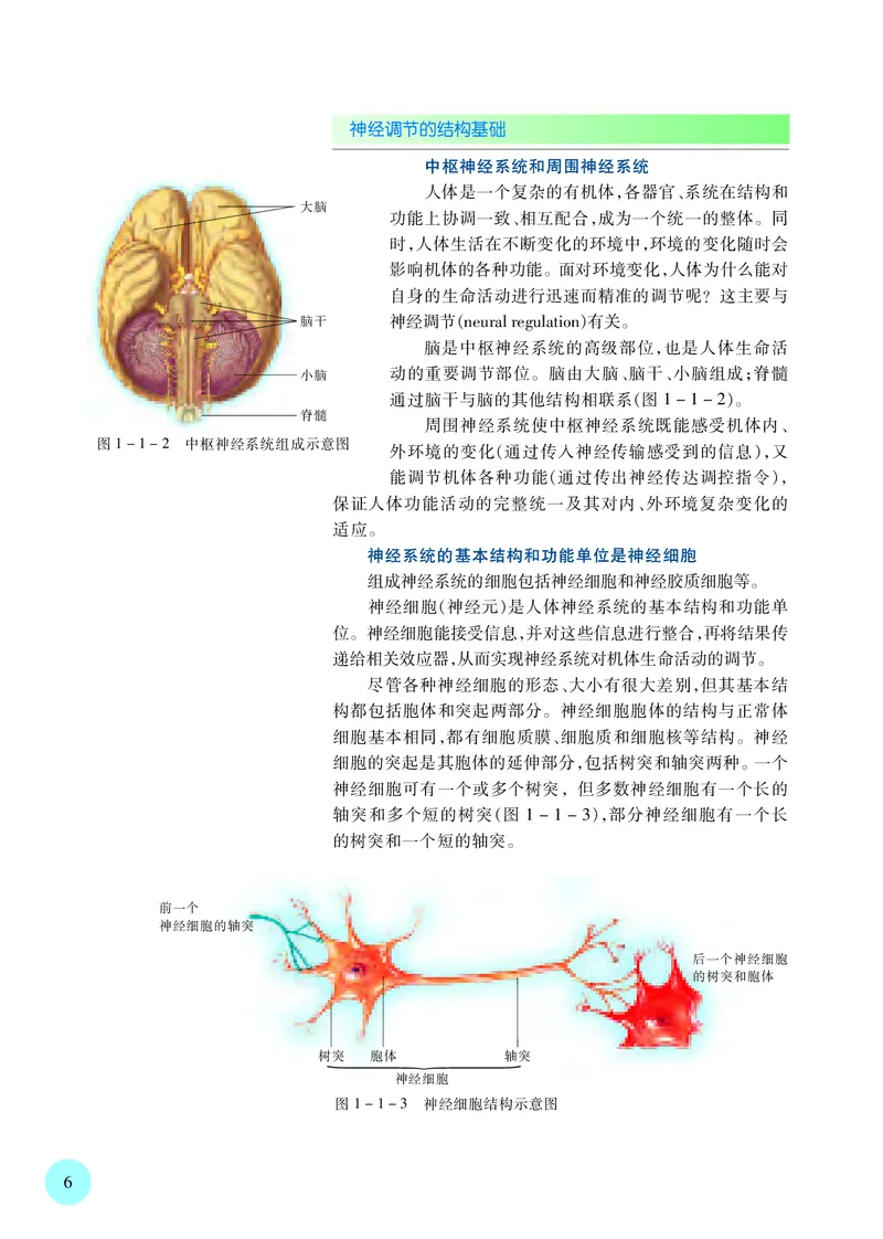 普通高中教科书&middot;生物学选择性必修1稳态与调节_高中全套电子教材及答案。_01高中电子教材全套_生物学_苏教版_高中年级_选择性必修1稳态与调节