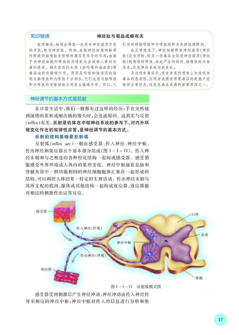 普通高中教科书&middot;生物学选择性必修1稳态与调节_高中全套电子教材及答案。_01高中电子教材全套_生物学_苏教版_高中年级_选择性必修1稳态与调节