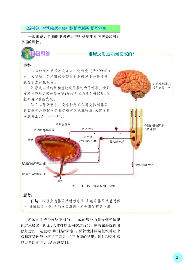普通高中教科书&middot;生物学选择性必修1稳态与调节_高中全套电子教材及答案。_01高中电子教材全套_生物学_苏教版_高中年级_选择性必修1稳态与调节