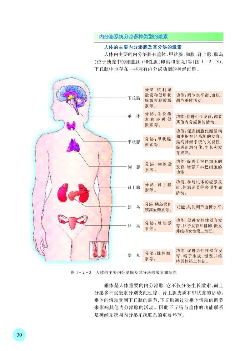 普通高中教科书&middot;生物学选择性必修1稳态与调节_高中全套电子教材及答案。_01高中电子教材全套_生物学_苏教版_高中年级_选择性必修1稳态与调节