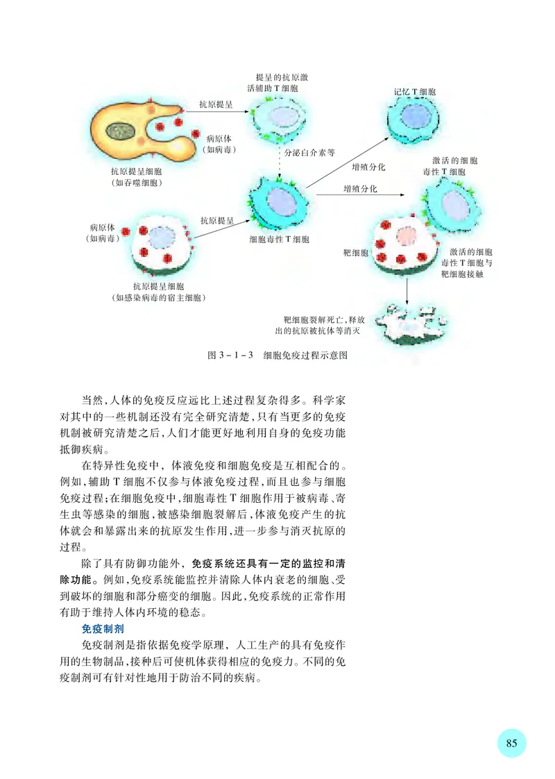 普通高中教科书&middot;生物学选择性必修1稳态与调节_高中全套电子教材及答案。_01高中电子教材全套_生物学_苏教版_高中年级_选择性必修1稳态与调节