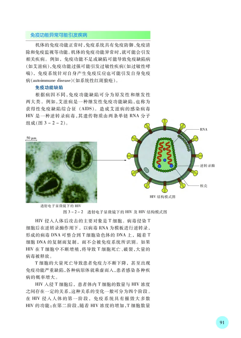 普通高中教科书&middot;生物学选择性必修1稳态与调节_高中全套电子教材及答案。_01高中电子教材全套_生物学_苏教版_高中年级_选择性必修1稳态与调节