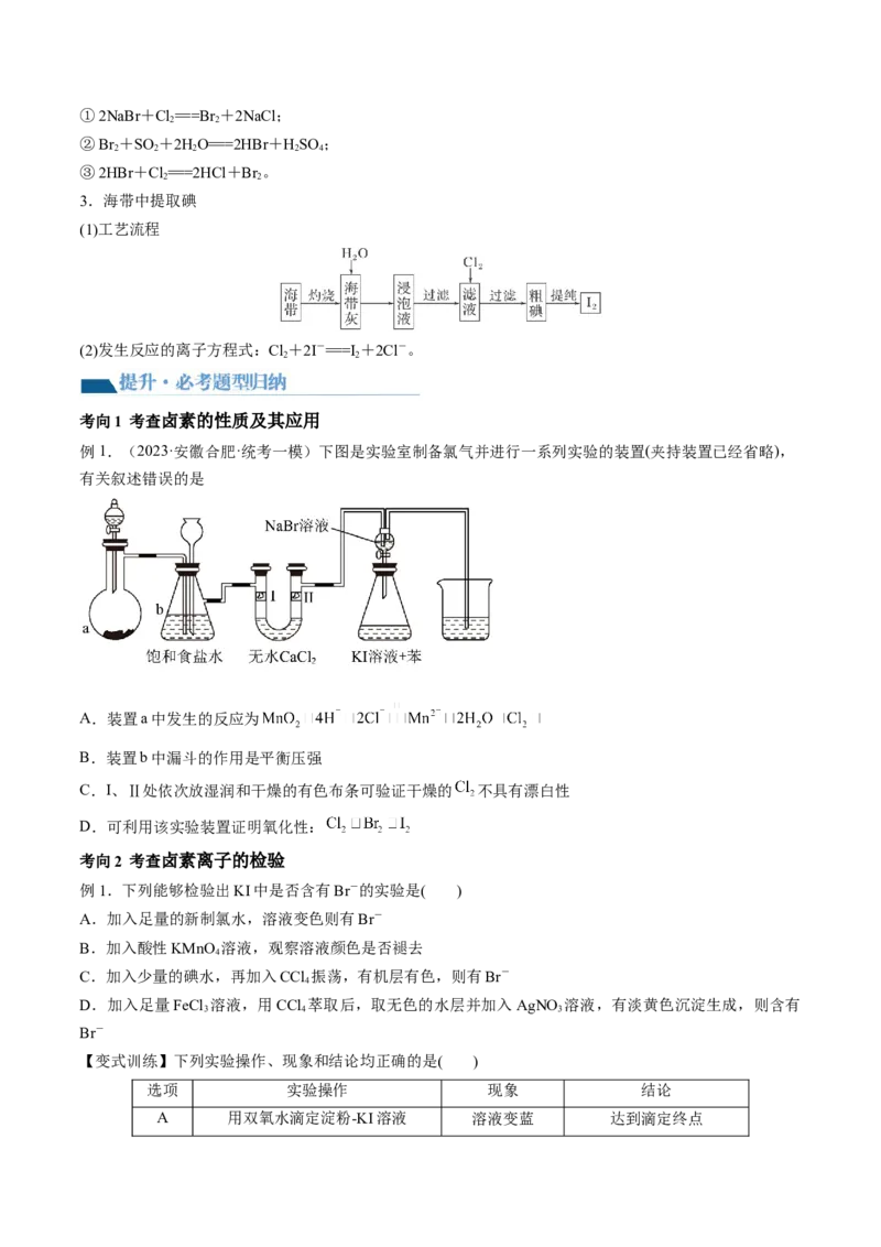 第12讲氯及其化合物（讲义）（原卷版）_05高考化学_2024年新高考资料_1.2024一轮复习_2024年高考化学一轮复习讲练测（新教材新高考）