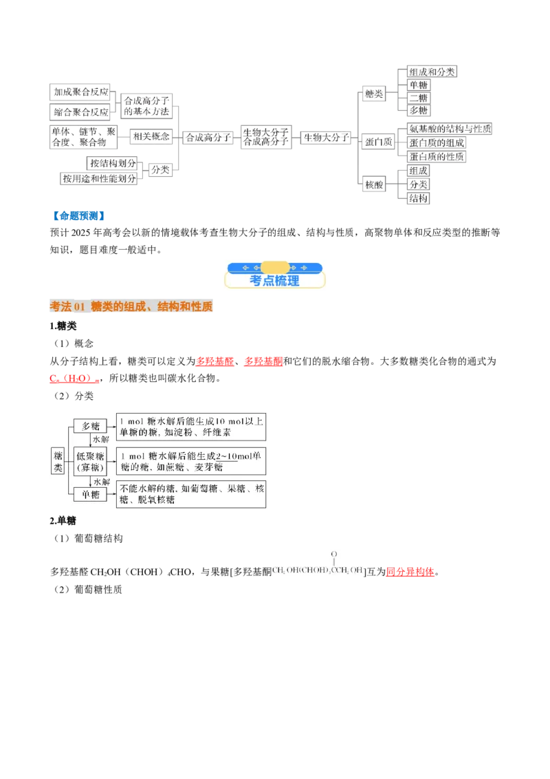 考点37生物大分子、合成高分子（核心考点精讲精练）-备战2025年高考化学一轮复习考点帮（新高考通用）（解析版）_05高考化学_2025年新高考资料_一轮复习