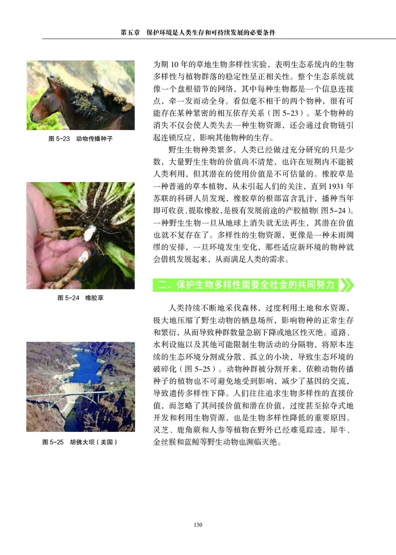 普通高中教科书&middot;生物学选择性必修2生物与环境(1)_高中全套电子教材及答案。_01高中电子教材全套_生物学_沪科教版_高中年级_选择性必修2生物与环境