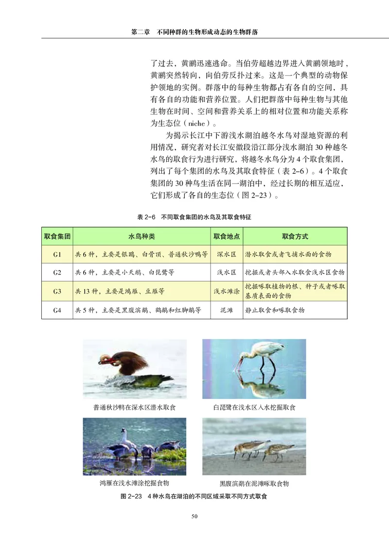 普通高中教科书&middot;生物学选择性必修2生物与环境(1)_高中全套电子教材及答案。_01高中电子教材全套_生物学_沪科教版_高中年级_选择性必修2生物与环境