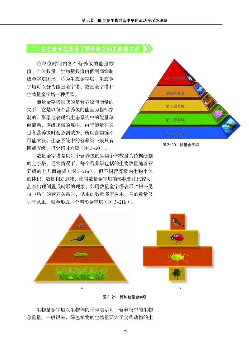 普通高中教科书&middot;生物学选择性必修2生物与环境(1)_高中全套电子教材及答案。_01高中电子教材全套_生物学_沪科教版_高中年级_选择性必修2生物与环境