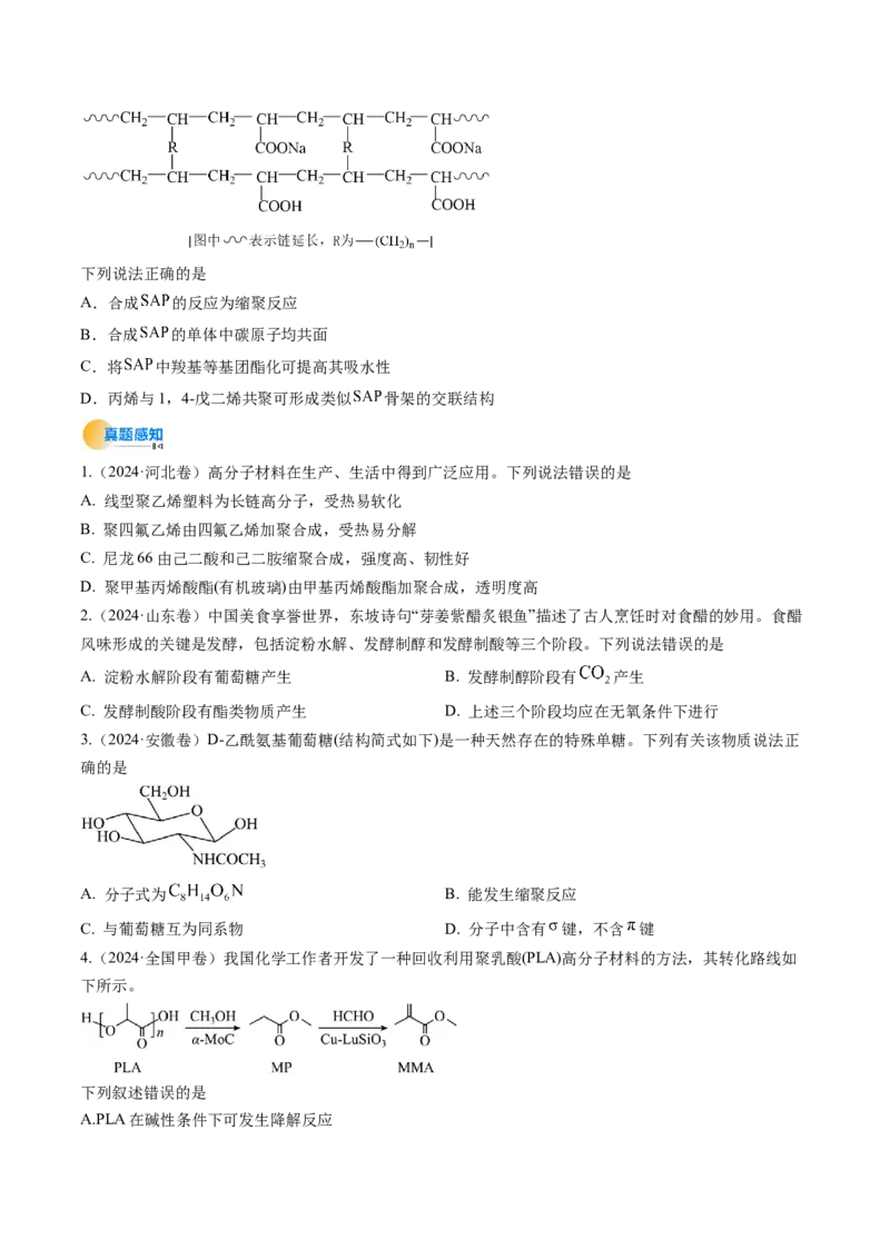 考点37生物大分子、合成高分子（核心考点精讲精练）-备战2025年高考化学一轮复习考点帮（新高考通用）（原卷版）_05高考化学_2025年新高考资料_一轮复习