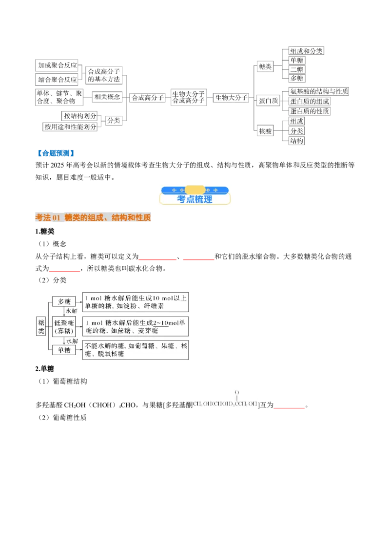 考点37生物大分子、合成高分子（核心考点精讲精练）-备战2025年高考化学一轮复习考点帮（新高考通用）（原卷版）_05高考化学_2025年新高考资料_一轮复习