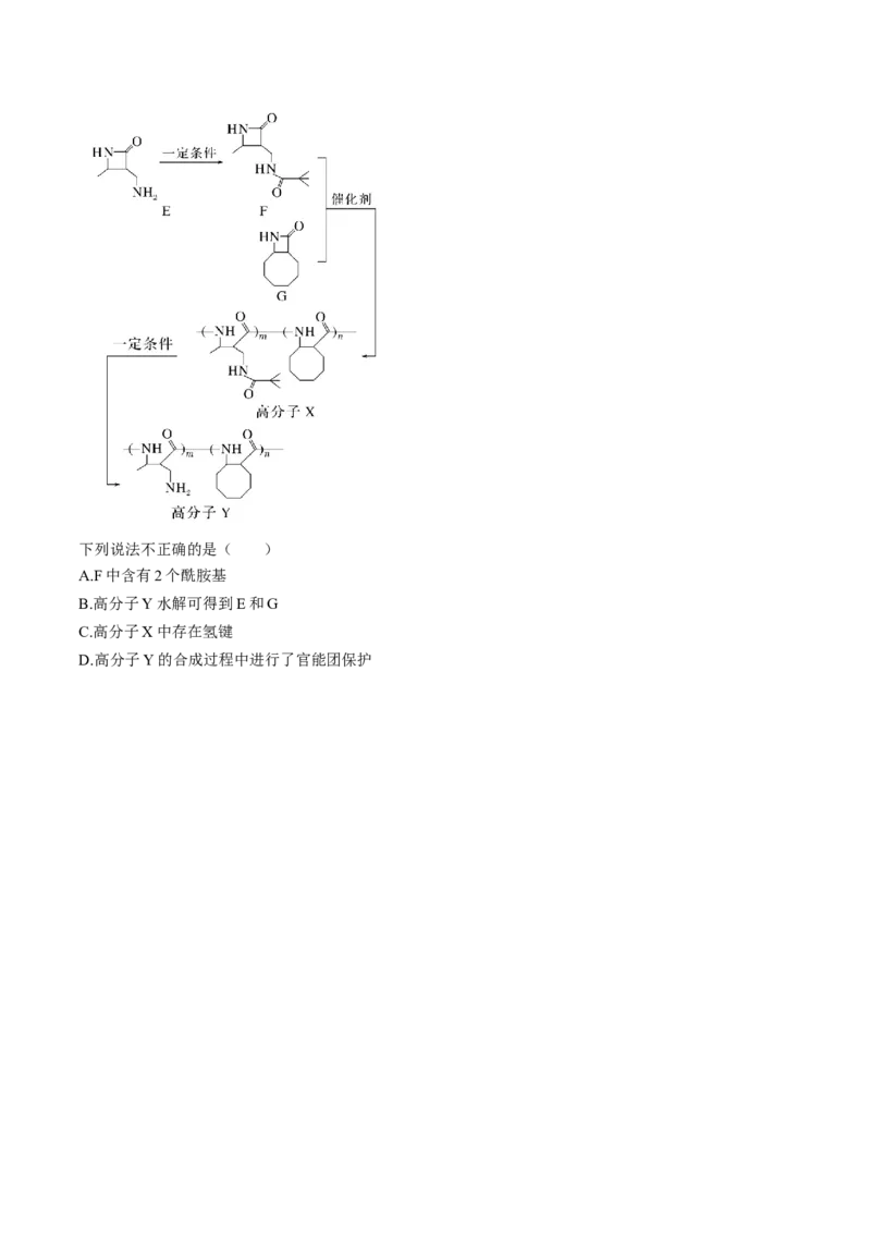 考点37生物大分子、合成高分子（核心考点精讲精练）-备战2025年高考化学一轮复习考点帮（新高考通用）（原卷版）_05高考化学_2025年新高考资料_一轮复习