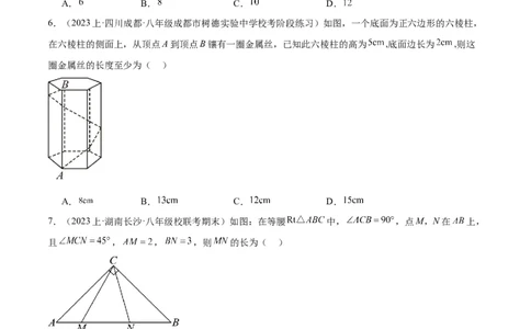 第十七章勾股定理重难点检测卷（学生版）_初中数学_八年级数学下册（人教版）_重难点专题提升-V7_2024版