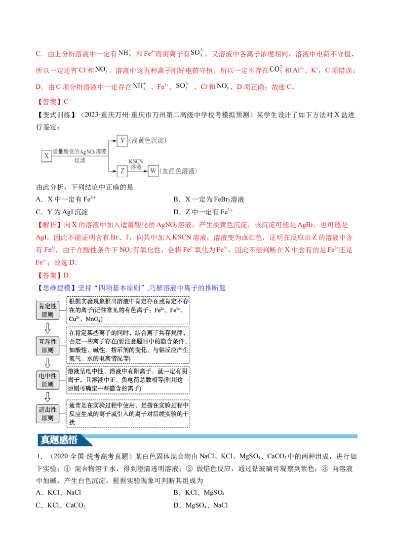 第06讲离子共存、离子的检验与推断（讲义）（解析版）_05高考化学_2024年新高考资料_1.2024一轮复习_2024年高考化学一轮复习讲练测（新教材新高考）