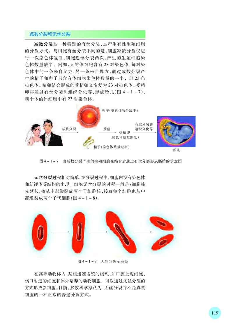 普通高中教科书&middot;生物学必修1分子与细胞(1)_高中全套电子教材及答案。_01高中电子教材全套_生物学_苏教版_高中年级_必修1分子与细胞