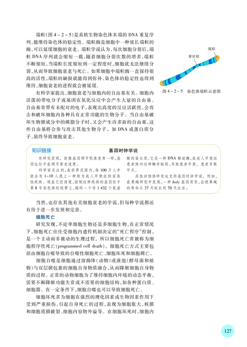 普通高中教科书&middot;生物学必修1分子与细胞(1)_高中全套电子教材及答案。_01高中电子教材全套_生物学_苏教版_高中年级_必修1分子与细胞