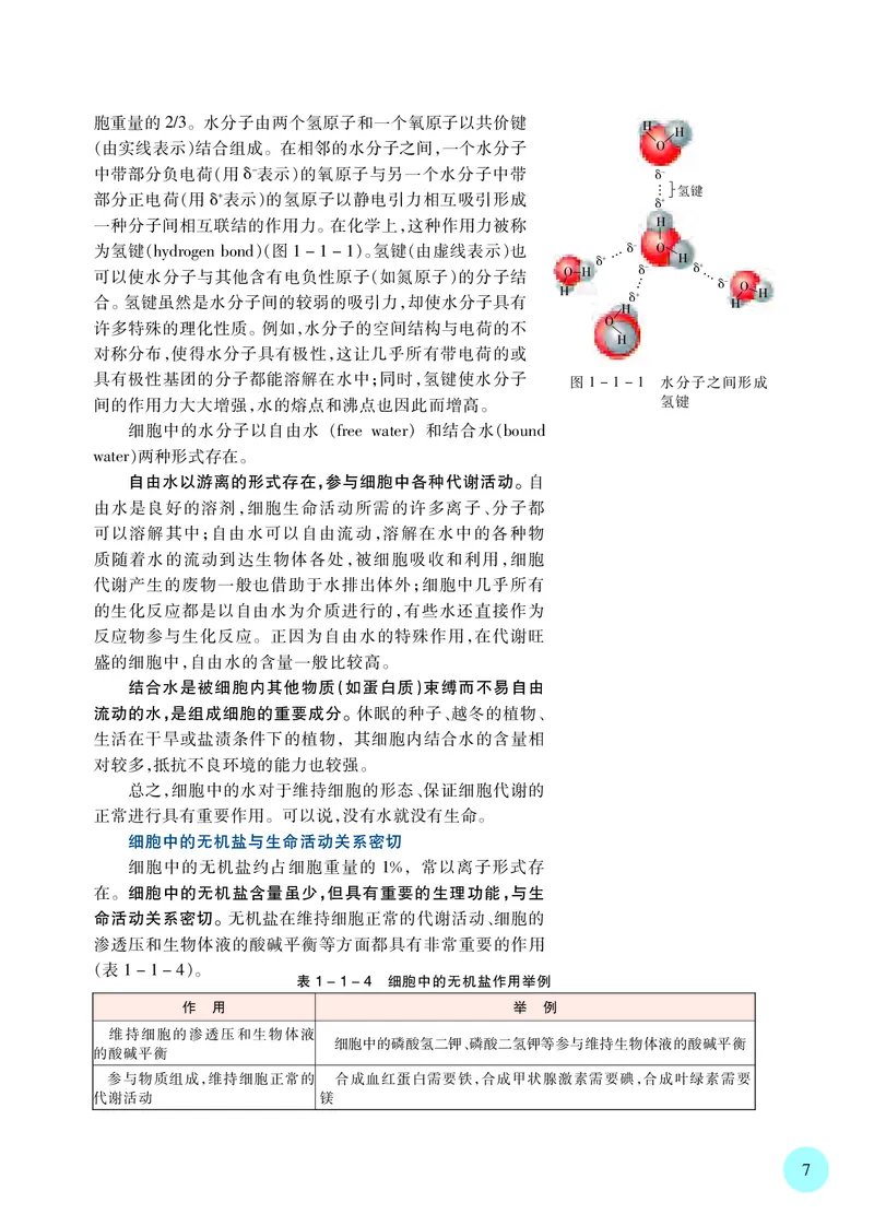 普通高中教科书&middot;生物学必修1分子与细胞(1)_高中全套电子教材及答案。_01高中电子教材全套_生物学_苏教版_高中年级_必修1分子与细胞