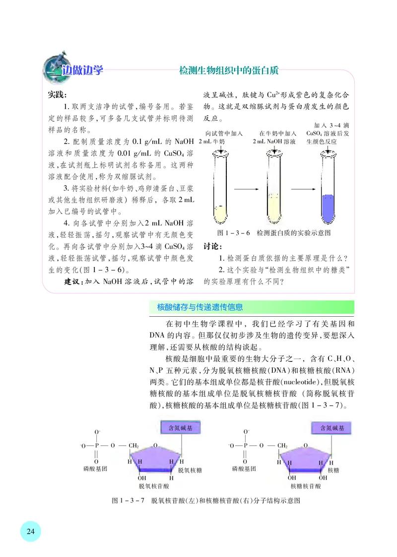 普通高中教科书&middot;生物学必修1分子与细胞(1)_高中全套电子教材及答案。_01高中电子教材全套_生物学_苏教版_高中年级_必修1分子与细胞