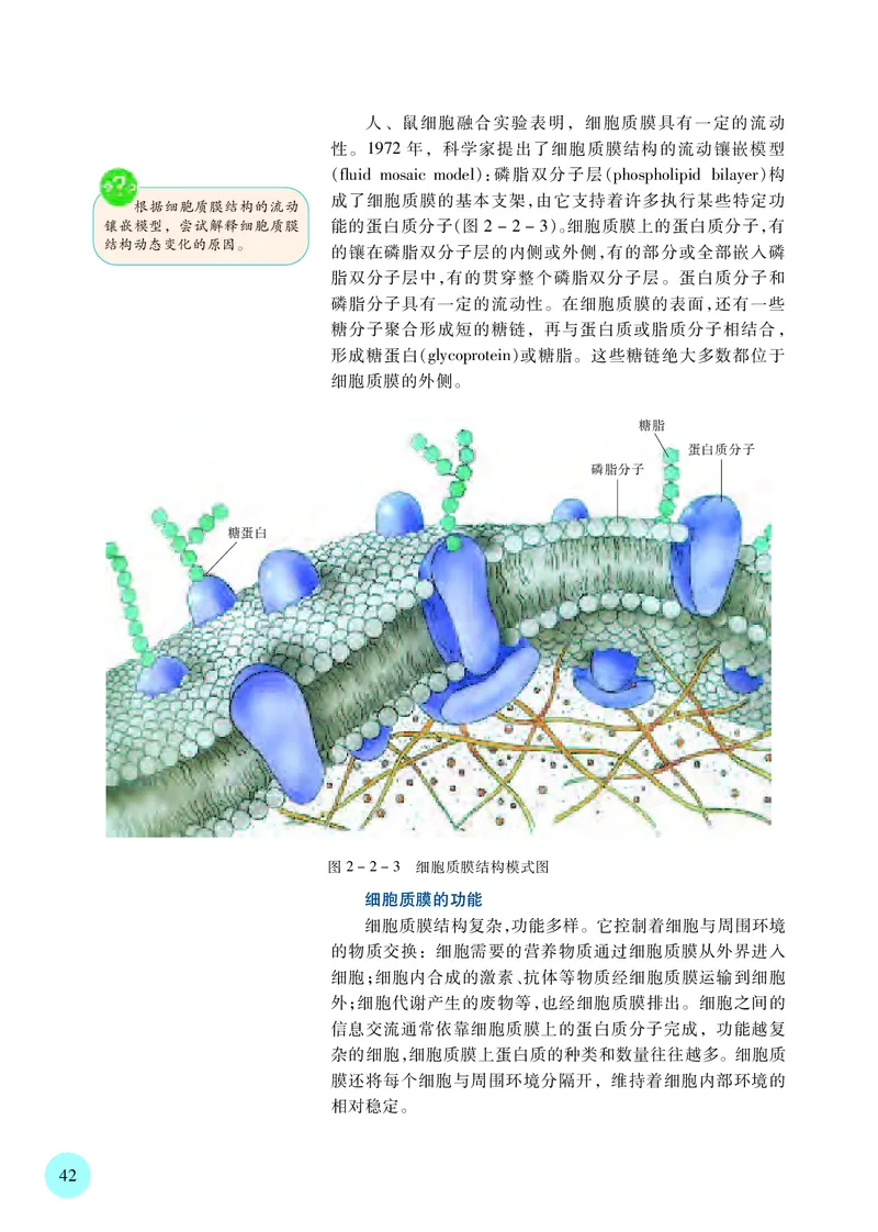 普通高中教科书&middot;生物学必修1分子与细胞(1)_高中全套电子教材及答案。_01高中电子教材全套_生物学_苏教版_高中年级_必修1分子与细胞