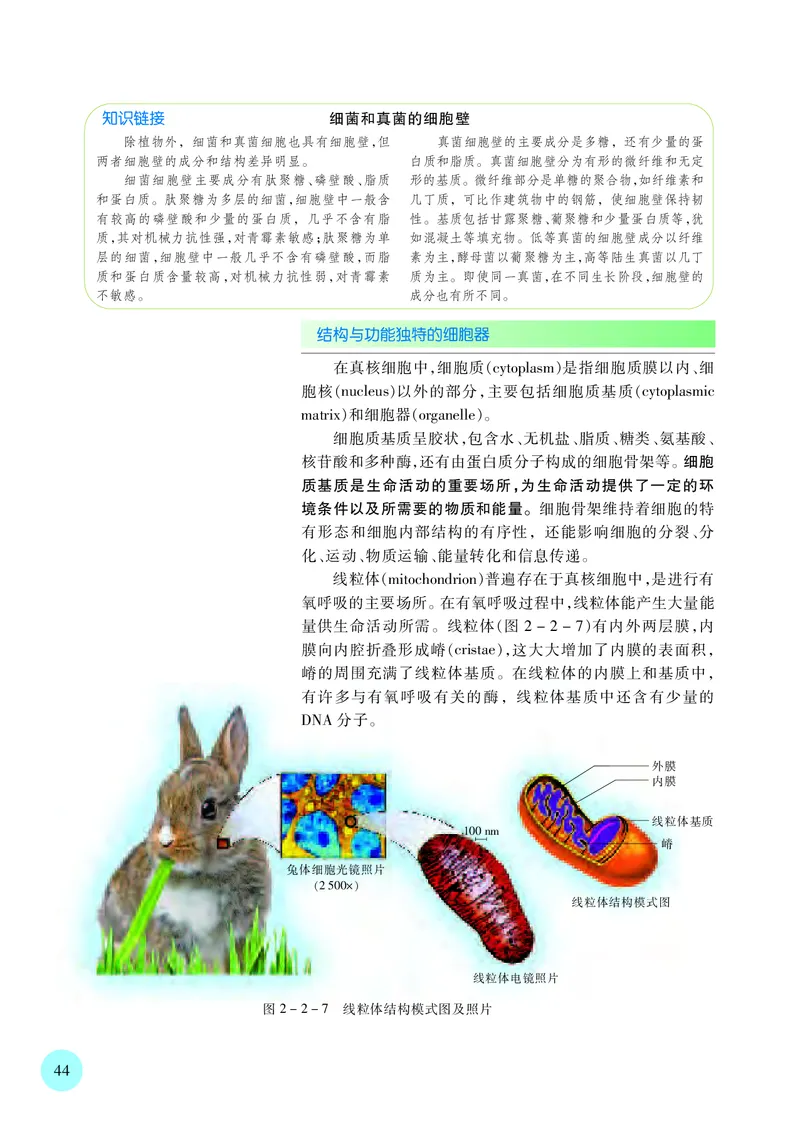 普通高中教科书&middot;生物学必修1分子与细胞(1)_高中全套电子教材及答案。_01高中电子教材全套_生物学_苏教版_高中年级_必修1分子与细胞