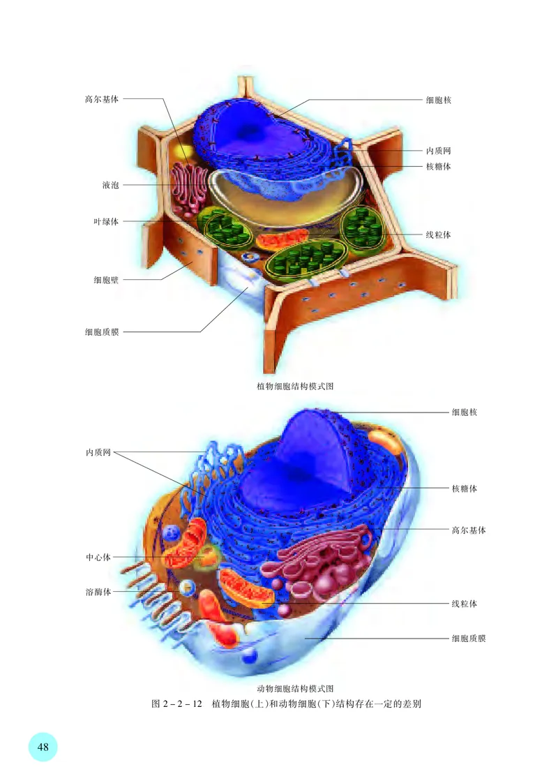 普通高中教科书&middot;生物学必修1分子与细胞(1)_高中全套电子教材及答案。_01高中电子教材全套_生物学_苏教版_高中年级_必修1分子与细胞