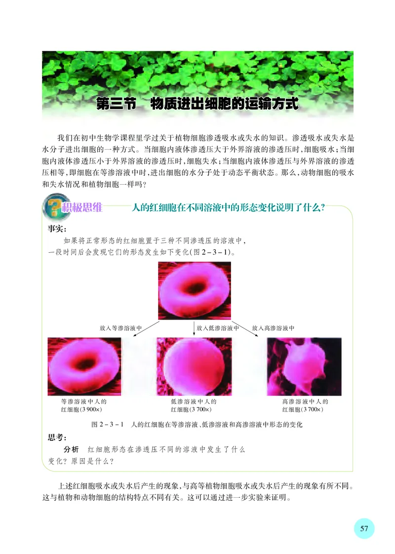 普通高中教科书&middot;生物学必修1分子与细胞(1)_高中全套电子教材及答案。_01高中电子教材全套_生物学_苏教版_高中年级_必修1分子与细胞