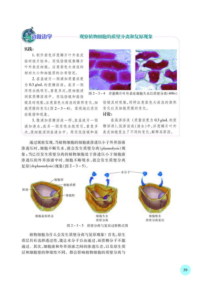 普通高中教科书&middot;生物学必修1分子与细胞(1)_高中全套电子教材及答案。_01高中电子教材全套_生物学_苏教版_高中年级_必修1分子与细胞