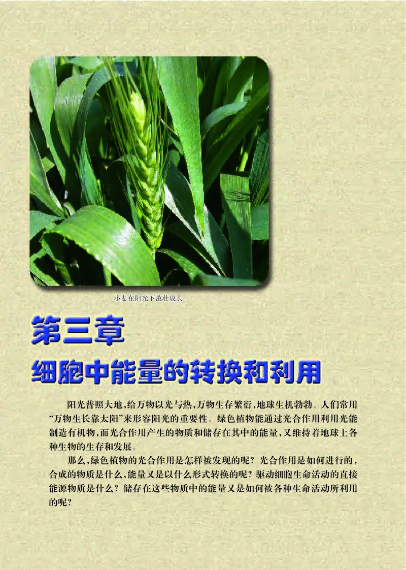 普通高中教科书&middot;生物学必修1分子与细胞(1)_高中全套电子教材及答案。_01高中电子教材全套_生物学_苏教版_高中年级_必修1分子与细胞