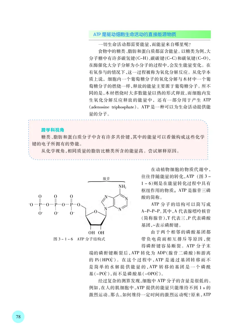 普通高中教科书&middot;生物学必修1分子与细胞(1)_高中全套电子教材及答案。_01高中电子教材全套_生物学_苏教版_高中年级_必修1分子与细胞