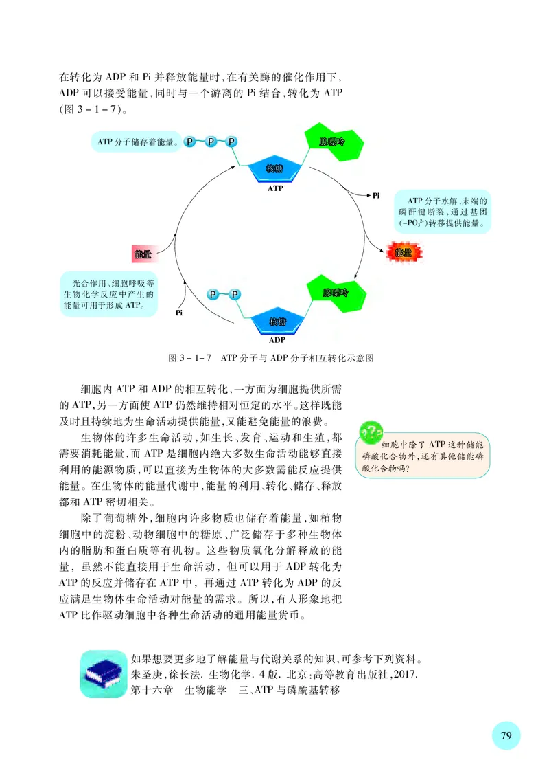 普通高中教科书&middot;生物学必修1分子与细胞(1)_高中全套电子教材及答案。_01高中电子教材全套_生物学_苏教版_高中年级_必修1分子与细胞