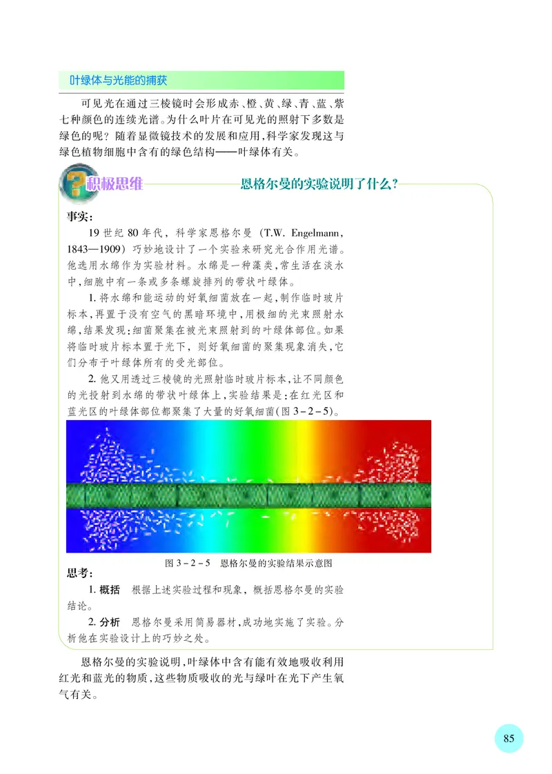 普通高中教科书&middot;生物学必修1分子与细胞(1)_高中全套电子教材及答案。_01高中电子教材全套_生物学_苏教版_高中年级_必修1分子与细胞