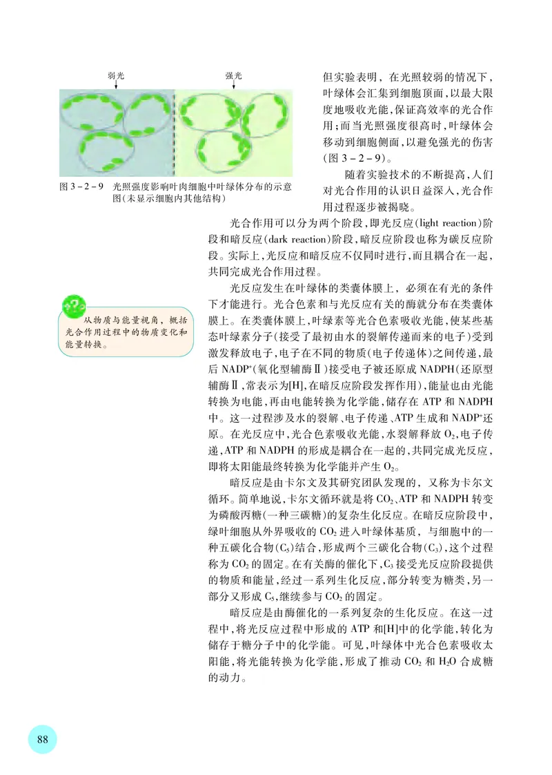 普通高中教科书&middot;生物学必修1分子与细胞(1)_高中全套电子教材及答案。_01高中电子教材全套_生物学_苏教版_高中年级_必修1分子与细胞